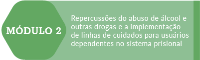 Repercussão do abuso de álcool e outras drogas e a implementação de linhas de cuidados para usuários dependentes no sistema prisional