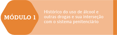 Histórico do uso de Álcool e outras drogas e sua intersecção com o sistema penitenciário